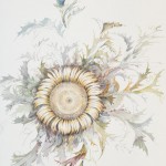 tuninetti1